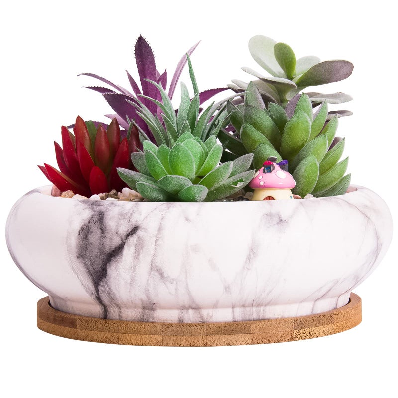 ARTKETTY Succulent Pots - Large Succulent Planters with Drainage Ceramic Bonsai Planter with Tray, Shallow Planters for Indoor Flower Plants Marble Cactus Planter Bowl - Image 1